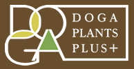 DOGA PLANTS PLUS+