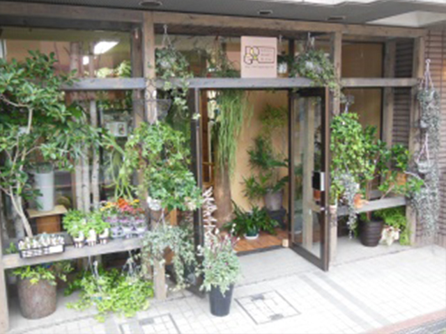 ＤＯＧＡ ＰＬＡＮＴＳ ＰＬＵＳ＋ 本店