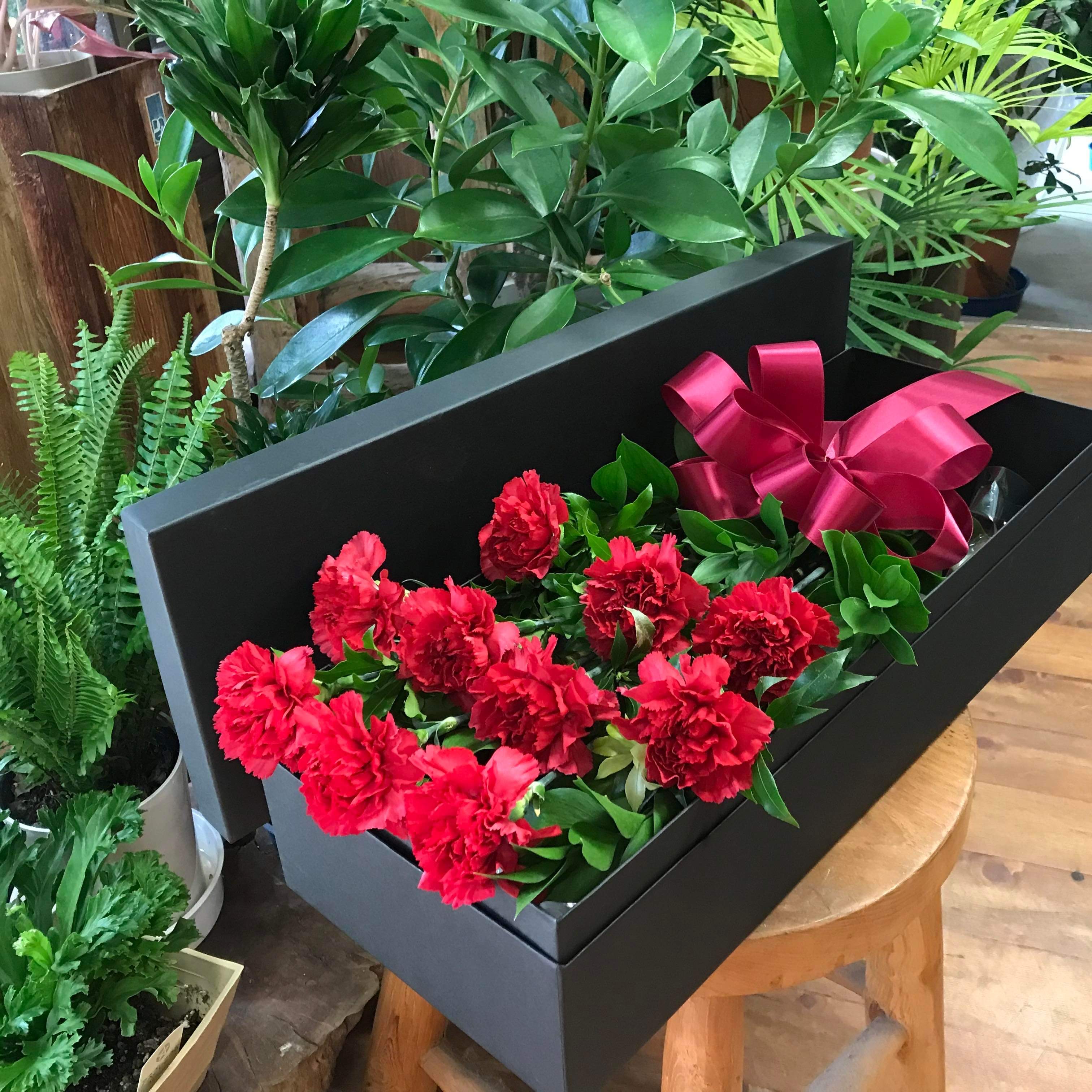 カーネーションRED 又はPINK 10本入り 6600円税送料込 ドガオリジナルBOX入り55×20×h13㎝
